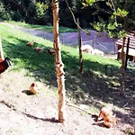 아파트 Halterhof *
