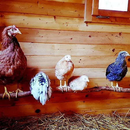 Halterhof Apartment Durbach